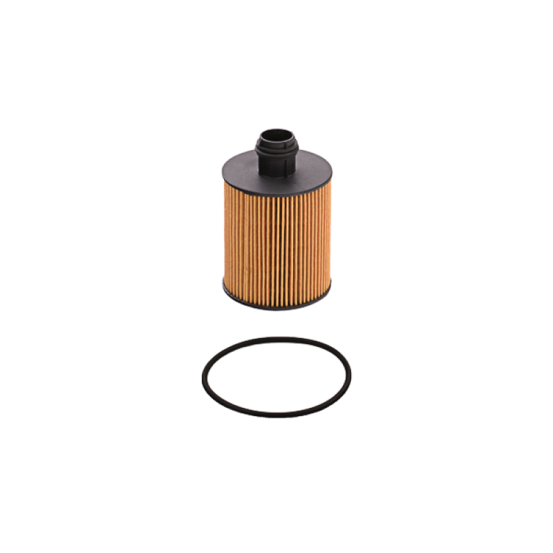 SH 4060 P масляна вставка  (уп. 40 шт.) SH 4060 P масляна вставка  (уп. 40 шт.)