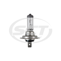 Автомобильные лампы SCT H7 24V70W PX26D
